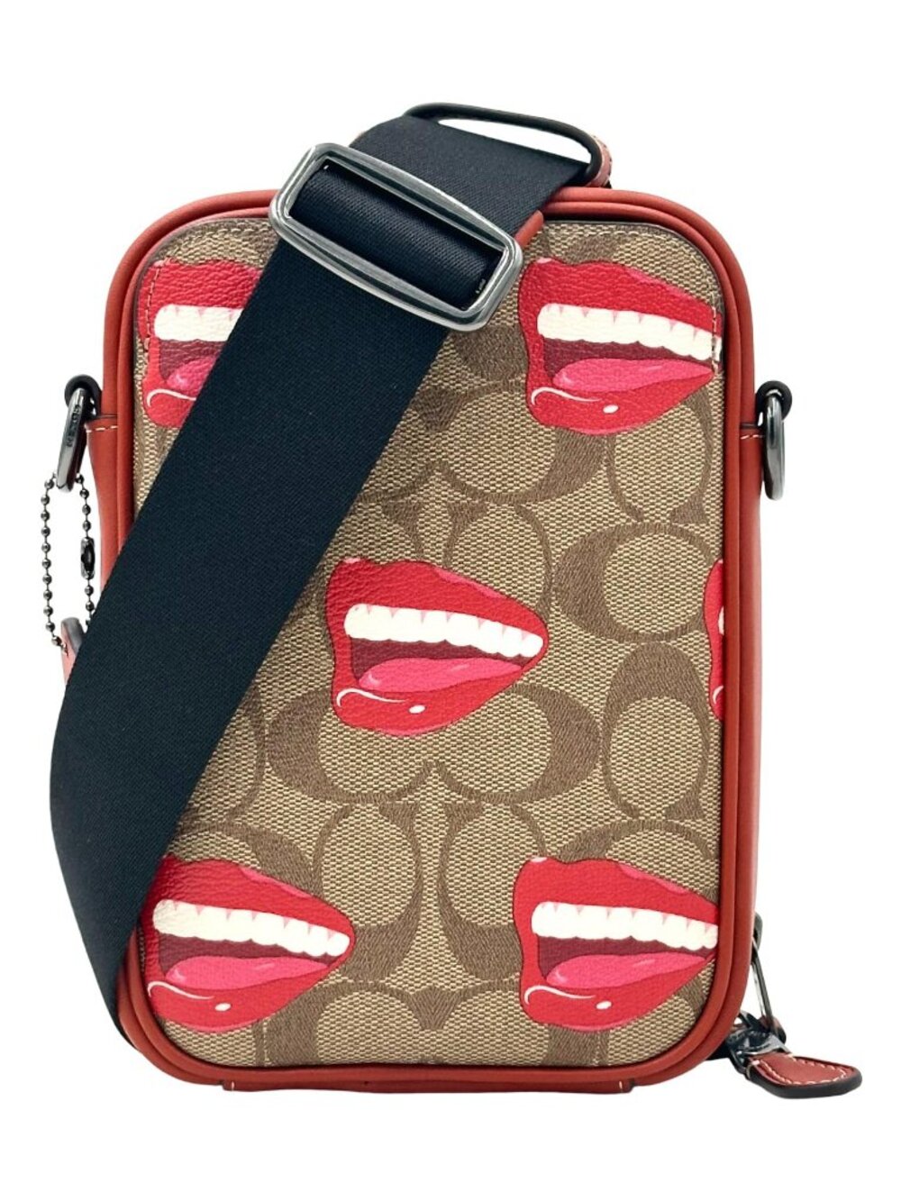 Coach Stanton – Tom Wesselmann Signature Canvas Crossbody (New)